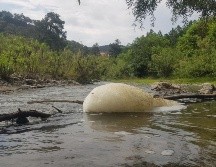 Pemex reafirmó su compromiso para preservar la seguridad de la población y el medio ambiente. EL INFORMADOR / ARCHIVO