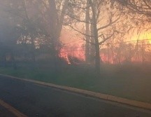 El incendio se registró en un terreno aledaño al CUCEA. EL INFORMADOR