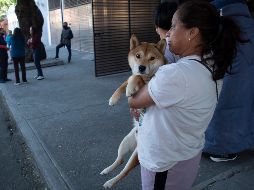 Aunque el sismo de este jueves se originó en el municipio de Isla Veracruz, el movimiento telúrico se sintió en la Ciudad de México. EFE / I. Esquivel