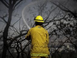 Según datos de la Conafor, en 2021 Jalisco se posicionó en el segundo lugar nacional con mil 31 incendios. EL INFORMADOR / ARCHIVO