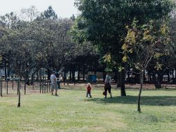 El Parque Metropolitano es uno de los lugares más emblemáticos de Guadalajara. EL INFORMADOR / ARCHIVO