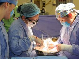 Alistan aumento en trasplantes con aval de cuatro clínicas