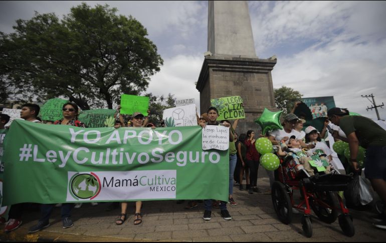 Distintas agrupaciones en Jalisco y el país se han manifestado para pedir reformas sobre el uso lúdico y medicinal de la marihuana. EL INFORMADOR/Archivo