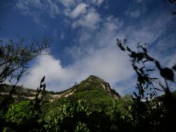 Tras varios días de labores de búsqueda, el joven fue localizado en la zona llamada Barranca del Jabalí en una de las cañadas de difícil acceso del cerro del Tzirate. EL INFORMADOR / ARCHIVO