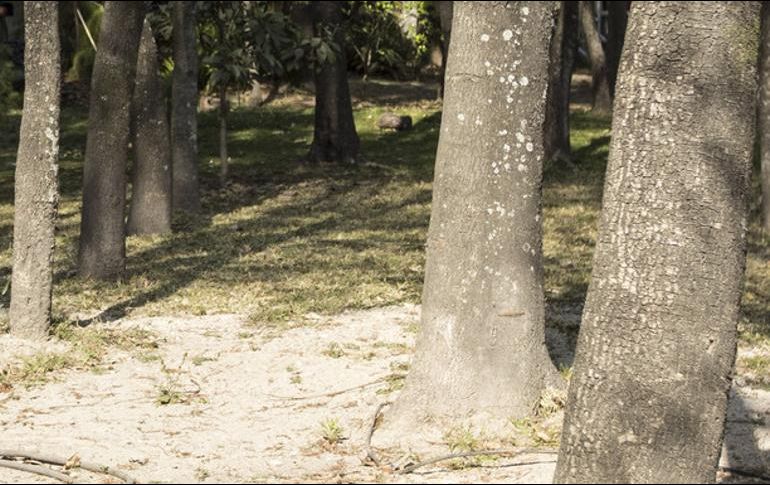 Los vecinos señalan que autoridades de Zapopan les manifestaron que para ellos es mejor que esa área pública, de cuatro mil 683 metros cuadrados, “la tenga un solo vecino como parte del jardín de su casa”. EL INFORMADOR / ARCHIVO