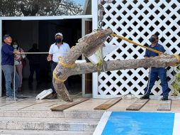 El ancla  fue hallada por trabajadores del Instituto para la Construcción y Conservación de Obra Pública de Yucatán en la localidad de Progreso. EFE/Instituto Nacional de Antropología e Historia