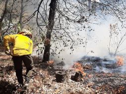 El fuego fue reportado a brigadistas de la Secretaría de Medio Ambiente y Desarrollo Territorial del Estado de Jalisco (Semadet), la Unidad Municipal de Protección Civil y Bomberos de Zapopan. ESPECIAL