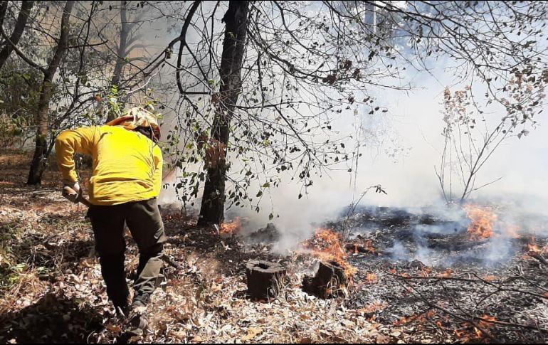 El fuego fue reportado a brigadistas de la Secretaría de Medio Ambiente y Desarrollo Territorial del Estado de Jalisco (Semadet), la Unidad Municipal de Protección Civil y Bomberos de Zapopan. ESPECIAL