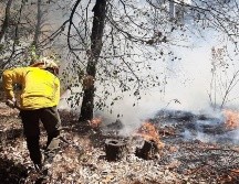 El fuego fue reportado a brigadistas de la Secretaría de Medio Ambiente y Desarrollo Territorial del Estado de Jalisco (Semadet), la Unidad Municipal de Protección Civil y Bomberos de Zapopan. ESPECIAL