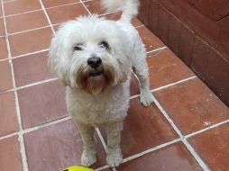 Jorge planea acudir a la Profeco ante la serie de negligencias que hubo con Lucas. ESPECIAL