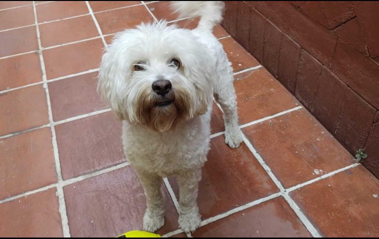 Jorge planea acudir a la Profeco ante la serie de negligencias que hubo con Lucas. ESPECIAL