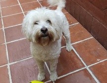 Jorge planea acudir a la Profeco ante la serie de negligencias que hubo con Lucas. ESPECIAL