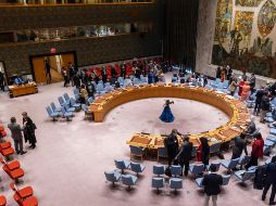 El embajador ruso, Vasili Nebenzia, lamentó que “Ucrania no es sino un peón en el tablero de Occidente