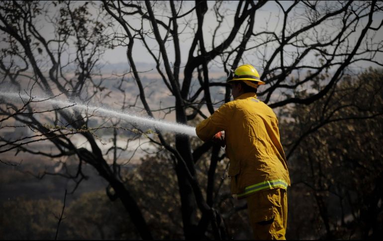 El siniestro fue reportado por la Semadet a las 14:09 horas de este viernes. EL INFORMADOR/ARCHIVO