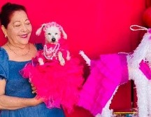 ¡Nada más faltó el vals! Abuelita celebra XV años a su perrita y se vuelve viral
