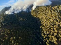 El incendio forestal comenzó el pasado jueves 17 de marzo a las 13:10 horas. TWITTER / @SemadetJal