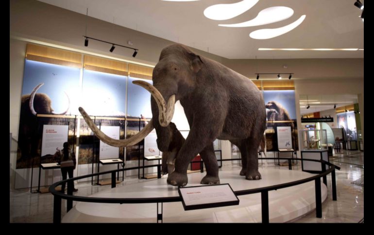 También habrá un museo de nombre 