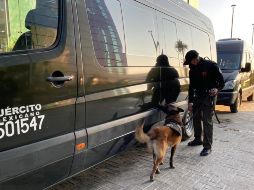 El servicio que ofrece la línea de autobuses es lo que llaman 