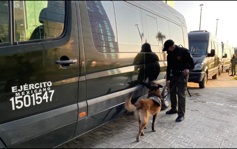 El servicio que ofrece la línea de autobuses es lo que llaman 