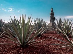 Glorieta de la Minerva en Guadalajara, Jalisco, Mexico. ISTOCK GETTY IMAGES/Pena Romano