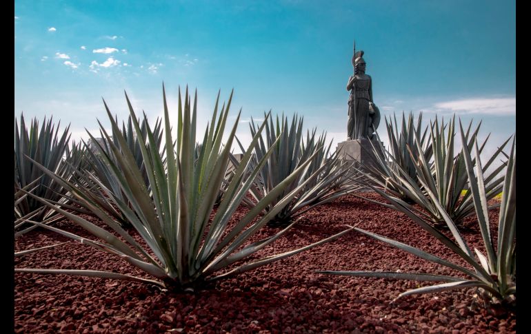 Glorieta de la Minerva en Guadalajara, Jalisco, Mexico. ISTOCK GETTY IMAGES/Pena Romano
