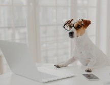 ISTOCK GETTY IMAGES/Viorel Kurnosov