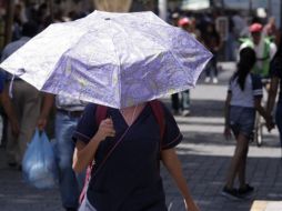 Los municipios donde ha habido más casos relacionados al calor son Cihuatlán, Casimiro Castillo, La Huerta, Cocula, Cuquío, El Limón, Villa Purificación, Quitupan  y Ciudad Guzmán. EL INFORMADOR / ARCHIVO