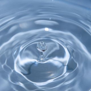 Hoy es el Día Mundial del Agua