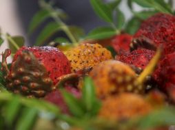 También se permitirá la operación de 258 comerciantes de empanadas, palmas, artículos religiosos y agua. EL INFORMADOR / ARCHIVO