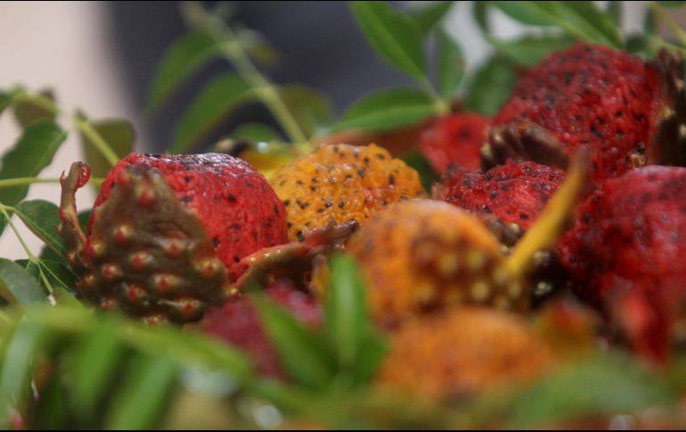 También se permitirá la operación de 258 comerciantes de empanadas, palmas, artículos religiosos y agua. EL INFORMADOR / ARCHIVO