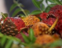 También se permitirá la operación de 258 comerciantes de empanadas, palmas, artículos religiosos y agua. EL INFORMADOR / ARCHIVO