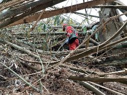 Se cree que las 132 personas que volaban en avión de China Eastern siniestrado hace dos días han fallecido. XINHUA/Z. Hua