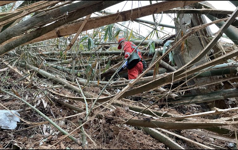 Se cree que las 132 personas que volaban en avión de China Eastern siniestrado hace dos días han fallecido. XINHUA/Z. Hua