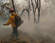 El incendio se registra en el Área Natural Protegida (ANP) de la zona del Bajío de Milpillas, en el Bosque La Primavera. ESPECIAL