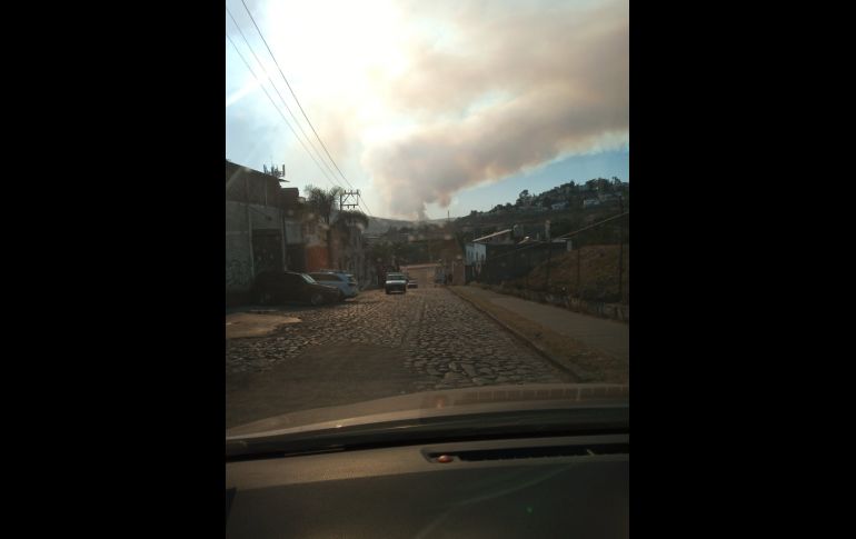 TWIITER/ @venegas_tanya