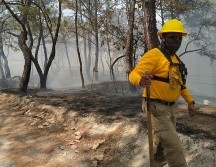 El incendio se registra en el Área Natural Protegida del Bosque La Primavera. ESPECIAL