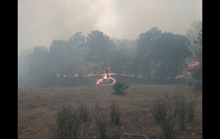 Imágenes del incendio activo. ESPECIAL