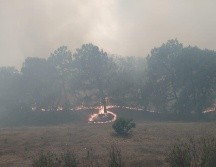 El incendio en el Bosque La Primavera se registra desde esta tarde en el Área Natural Protegida. ESPECIAL