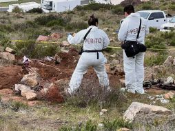 Instituciones de seguridad, académicas y organizaciones civiles realizan a diario labores para encontrar a personas desaparecidas. ESPECIAL