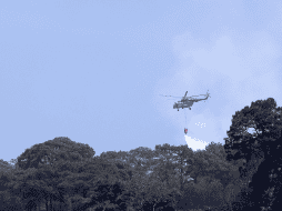 Velázquez Alzúa dice que desde ayer todas las instancias comenzaron a trabajar en un incendio forestal registrado en Tepoztlán, Morelos. EFE / T. Rivera