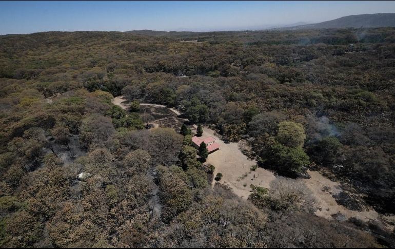 ESPECIAL / Gestión del Territorio Jalisco