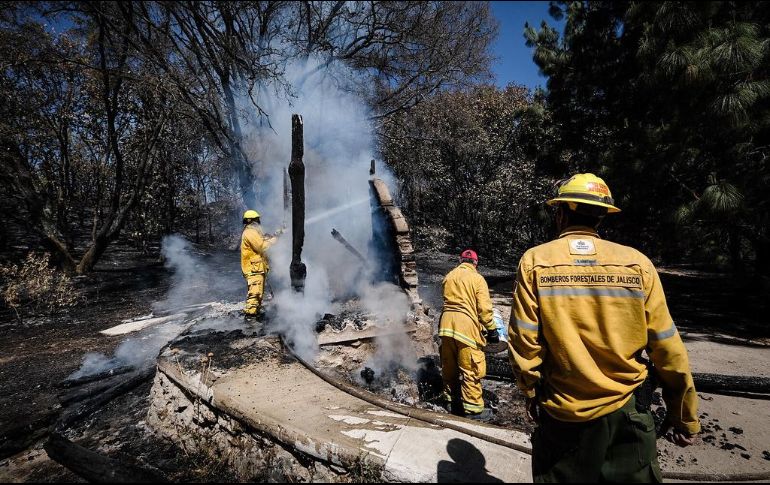 ESPECIAL / Gestión del Territorio Jalisco
