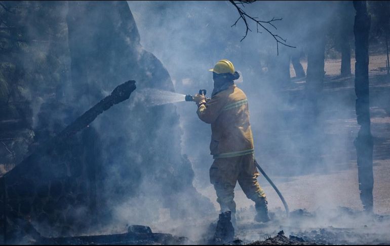 La Fiscalía mencionó que Juan “R” fue hallado por policías de Zapopan que llevaban a cabo un recorrido, mientras el hombre prendía fuego a varios montículos de hojas secas. ESPECIAL / Gestión del Territorio Jalisco
