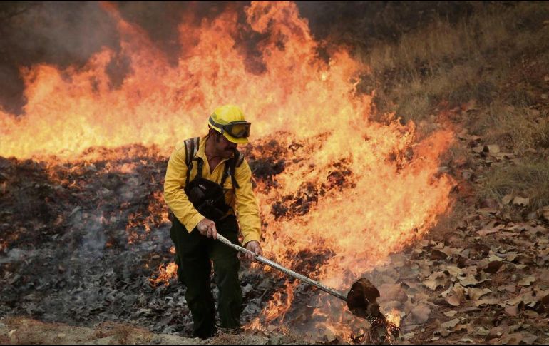 La Secretaria de Medio Ambiente y Desarrollo Territorial (Semadet) anunció hoy sobre un nuevo incendio en el Bosque de La Primavera. ESPECIAL