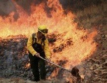 Jalisco, entre las entidades con más incendios este año. Archivo/El Informador