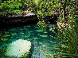 Los cenotes son grandes atracciones turísticas de nuestros país y un destino concurrido en vacaciones. NTX/ARCHIVO