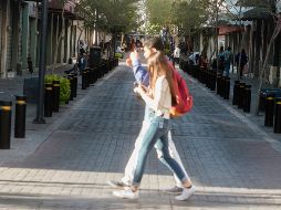 El IMEPLAN tiene considerado regular los bolardos después de que se apruebe la Ley General de Seguridad Vial. EL INFORMADOR/G. Gallo