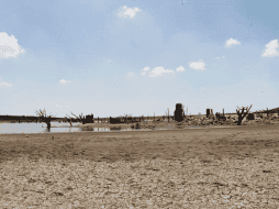 Conagua. 32 de 125 municipios pasaron a la clasificación de sequía severa. Archivo/ El informador