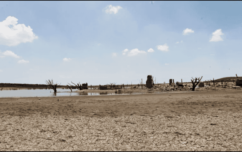 Conagua. 32 de 125 municipios pasaron a la clasificación de sequía severa. Archivo/ El informador