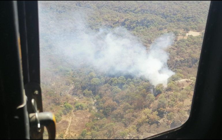 El incendio de esta tarde en La Primavera se dio en el paraje conocido como La Tecomata y es una Área Natural Protegida. ESPECIAL
